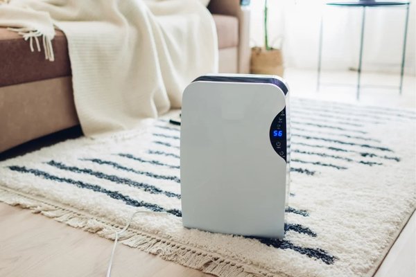 Découvrez le meilleur déshumidificateur pour votre confort en 2025